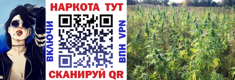 Где купить наркотики Севск АМФЕТАМИН ГАШИШ КОКАИН