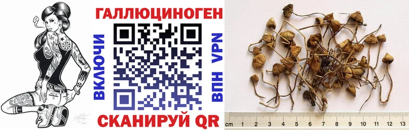 Псилоцибиновые грибы MAGIC MUSHROOMS  Севск 